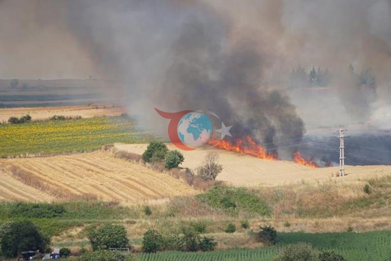 Tekirdağda buğday tarlasında korkutan yangın 100 dekarlık alan kül oldu