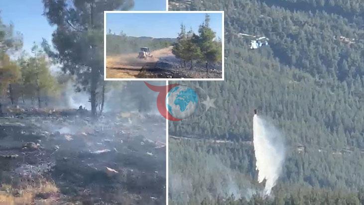 Gaziantep'te Orman Yangını: Müdahale Ekipleri Seferber Oldu