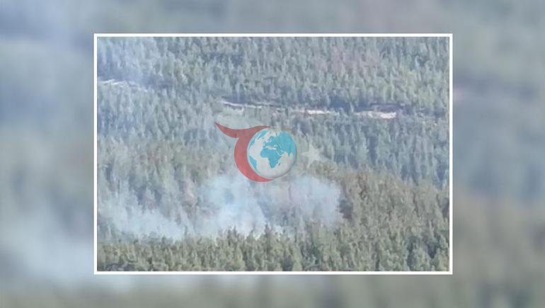 Gaziantep’te orman yangını Havadan ve karadan müdahale