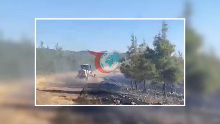 Gaziantep’te orman yangını Havadan ve karadan müdahale