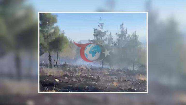 Gaziantep’te orman yangını Havadan ve karadan müdahale