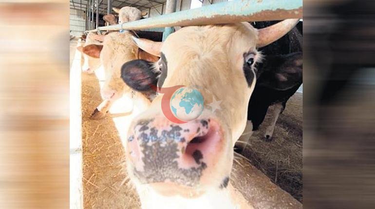 Tarlada ‘4.0’ dönemi Çiftçiye tarladan anlık bilgi