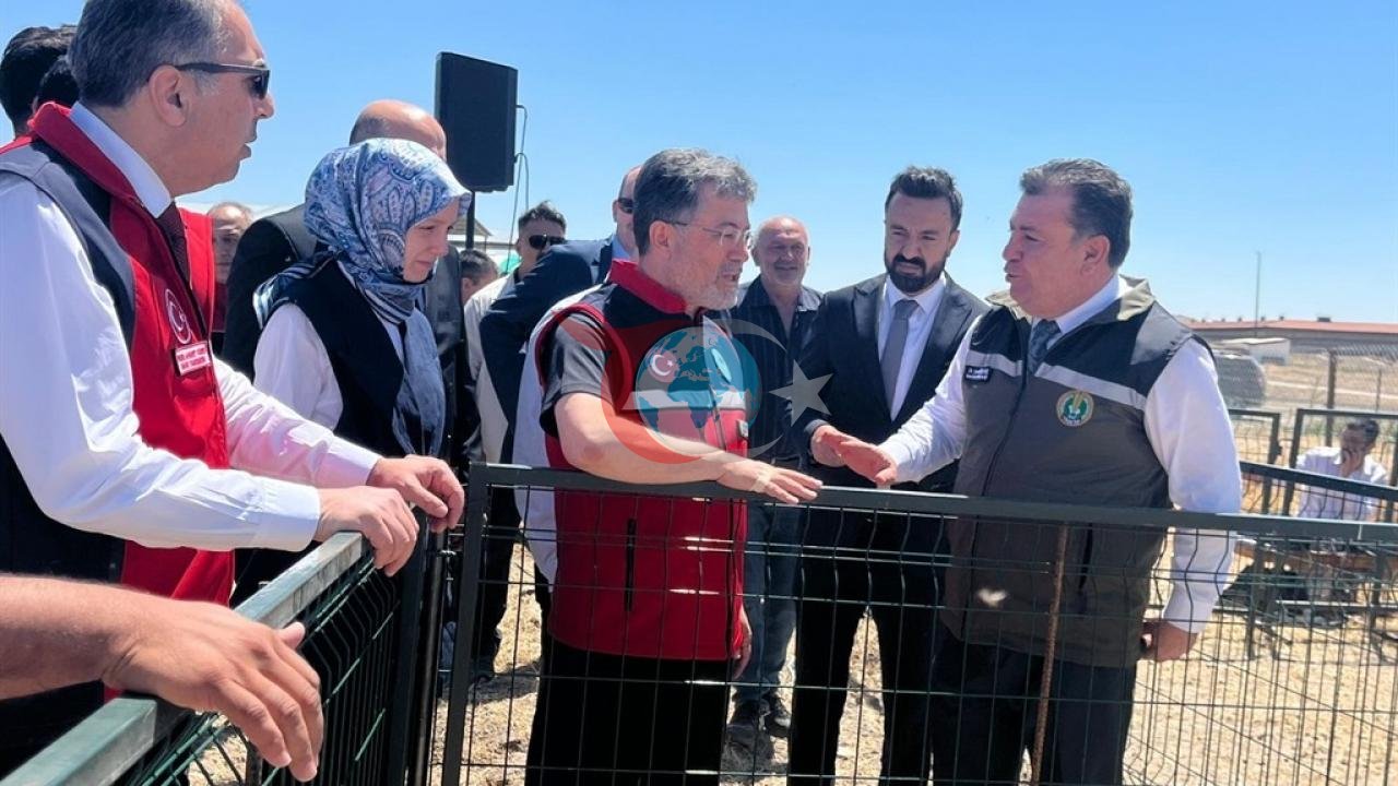 Küçükbaş Hayvancılıkta Büyük Destek: 1600 Üreticiye 160 Bin Hayvan