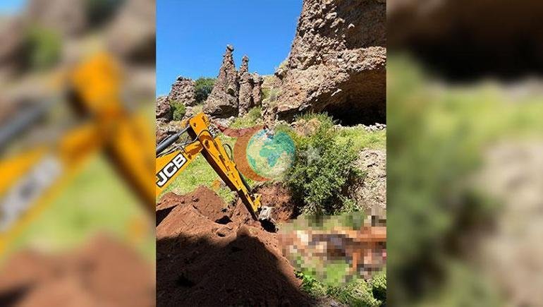 Tek saldırı, 26 telef Yabani hayvanı görünce kayalıklardan atladılar