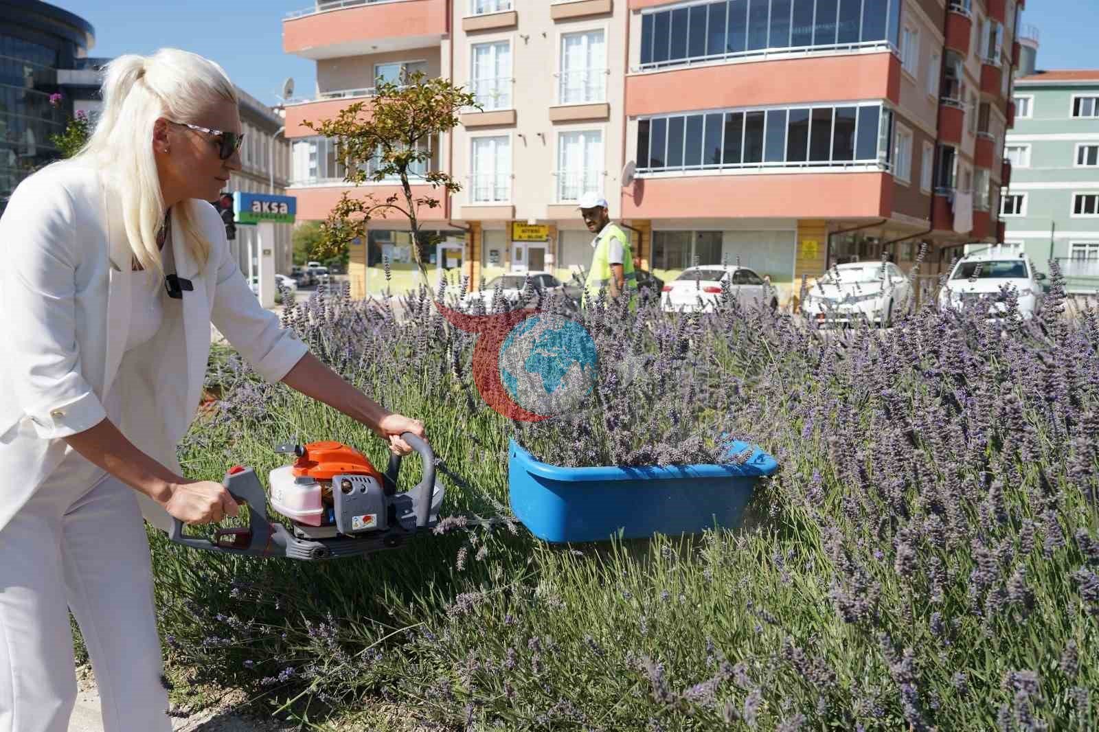Bilecik ve İstanbul'un Başarısı: Uluslararası İnovasyon Ödülü