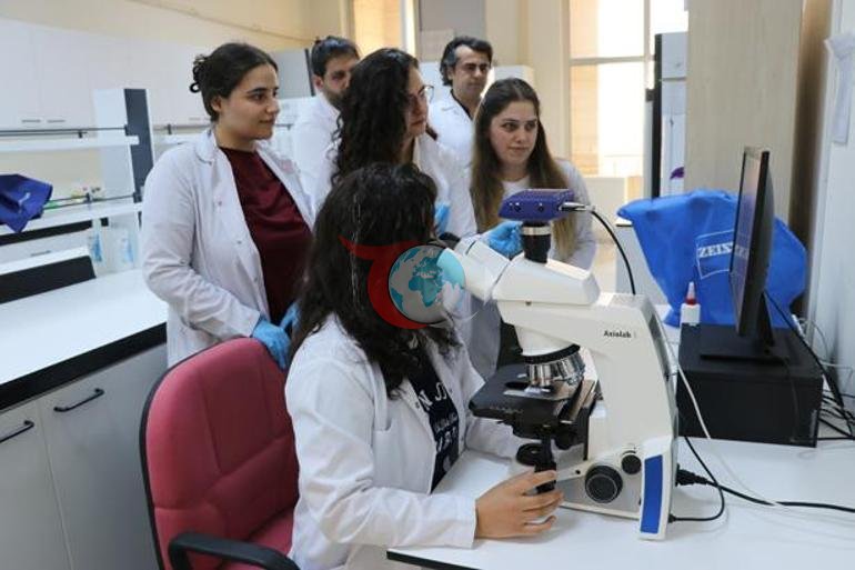 Türk bilim insanlarından dikkat çeken buluş Bor ve gümüşle geliştirilen iki krem umut oldu