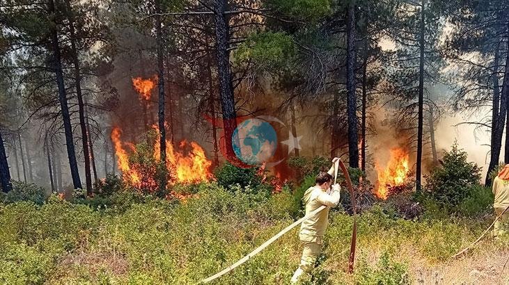 Bursa'nın Orhaneli İlçesinde Orman Yangını Kontrol Altına Alındı