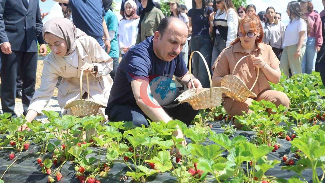 Konya'da Tarımsal Destek Başvuruları 1 Temmuz'da Başlıyor