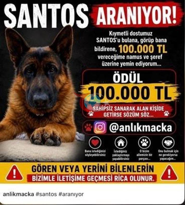 Santos için 100 bin lira ödül: Aramadığımız, sormadığımız yer kalmadı