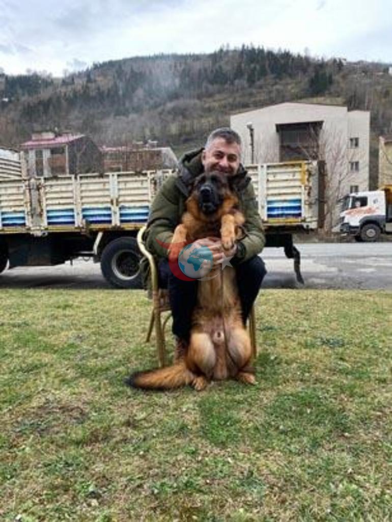 Santos için 100 bin lira ödül: Aramadığımız, sormadığımız yer kalmadı