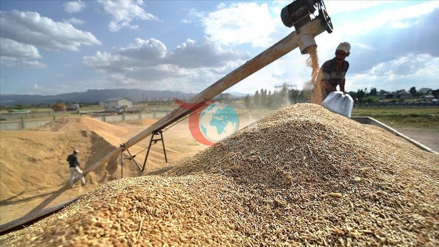Dünyayı 'Süper El Nino' vurdu: Türkiye üretim üssü oldu: 5,8 milyar dolarlık bereket!