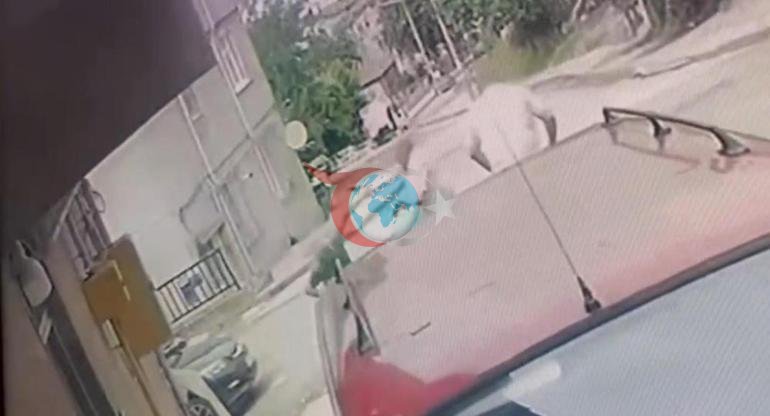 Askarda birodarlik o'ldirish Onasining qabrini ziyorat qildi va taslim bo'ldi