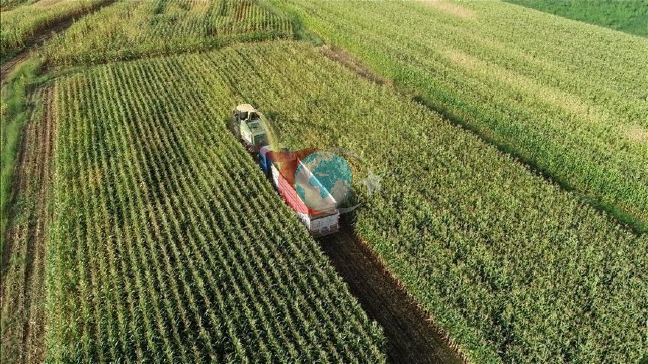 Bakan Yumaklı Müjdeyi Verdi: IPARD-III Kapsamında 315,7 Milyon TL Hibe Ödemesi Hesaplarda