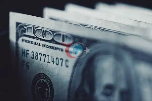 Türkiye Dolar Milyoneri Artışında Dünya İkincisi: Enflasyonist Ortamda Servet Patlaması