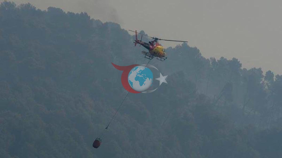 İspanya'da Orman Yangını Felaketi: Endülüs'te 11 Can Kaybı, Binlerce Tahliye