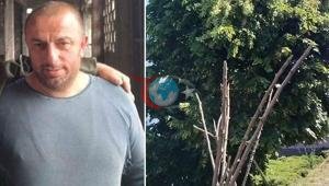 Rizede budamaya çıktığı ağaçta akıma kapılıp kişi öldü
