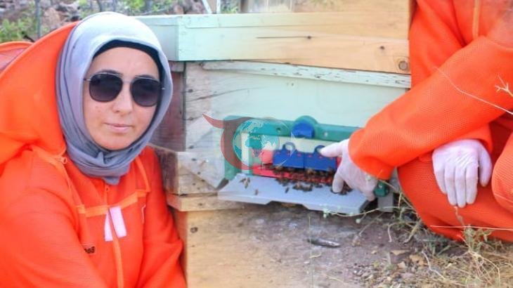 Kanserle Mücadelede Arı Mucizesi: Zehra Kocabaş'ın Şifa Dağıtan Başarı Hikayesi