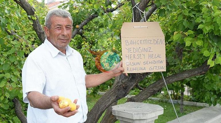 Şehit Komiser Yardımcısı Cennet’in babası: Bin evladım olsa bu aziz vatana feda etmezsem namerdim