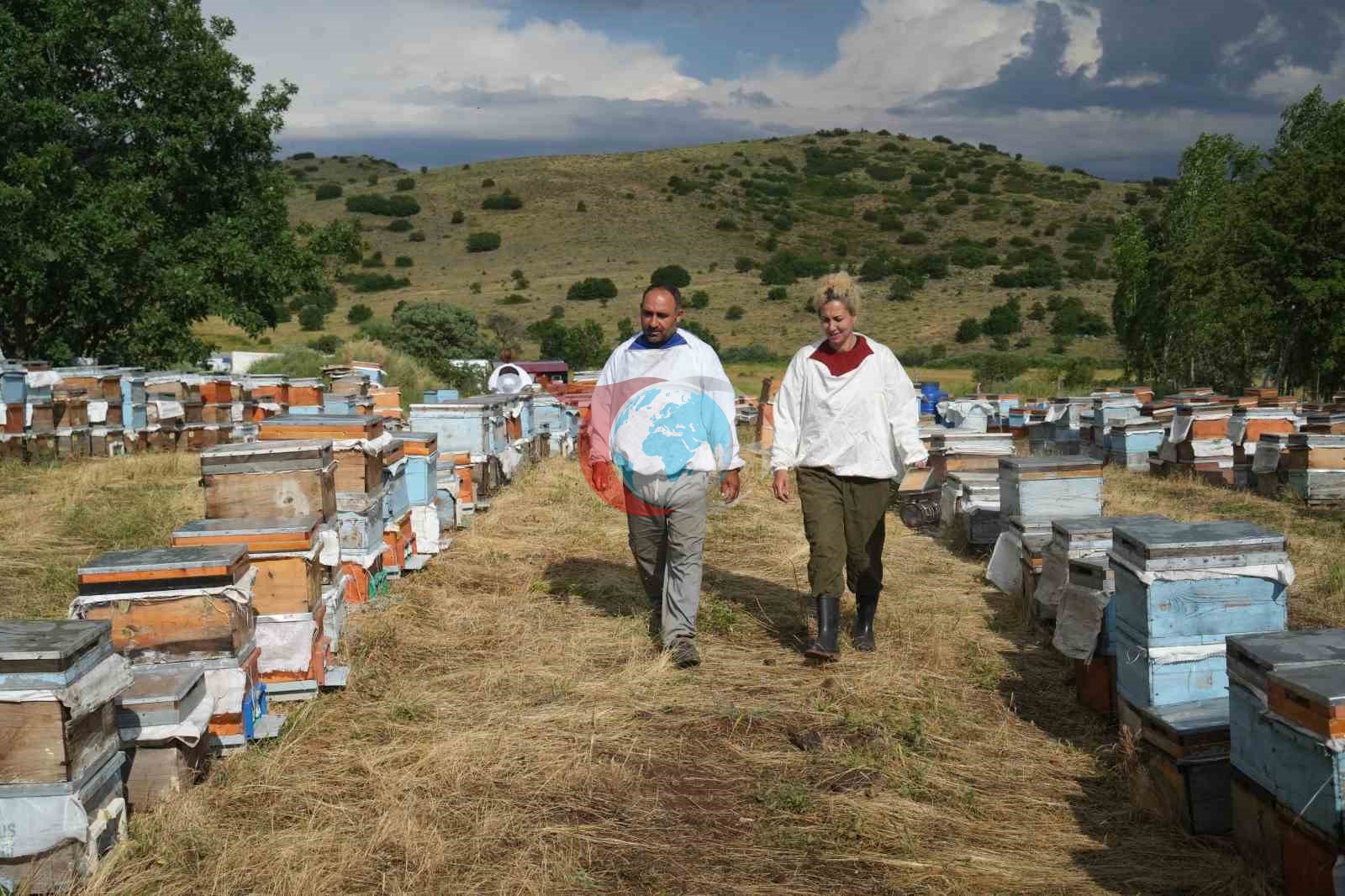 Arıcı Çiftin Göçebe Yaşamına Devlet Eli: Karavan Desteğiyle Gelen Konfor