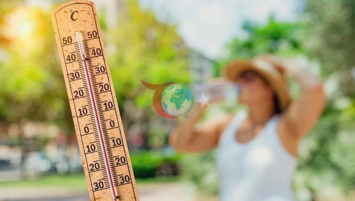 Sıcak Hava Dalgasında Hayati Uyarı: Günde 3 Litre Su Tüketimi Neden Önemli?