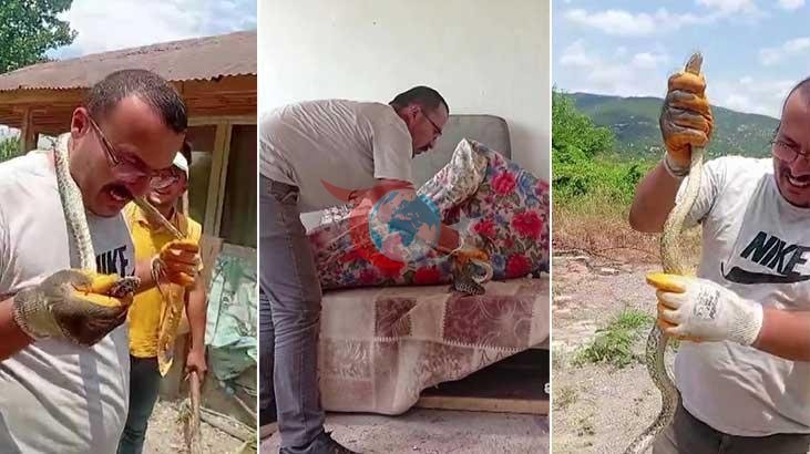 Amasya ve Hatay'da Yılan Alarmı: Evlere Giren Davetsiz Misafirler Panik Yarattı