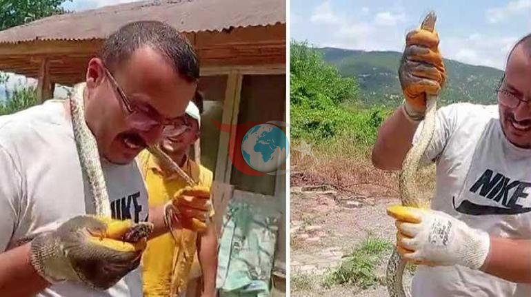 Amasyadagi uyda ilon vahima U ushlab oldi va bo'yniga o'rab oldi