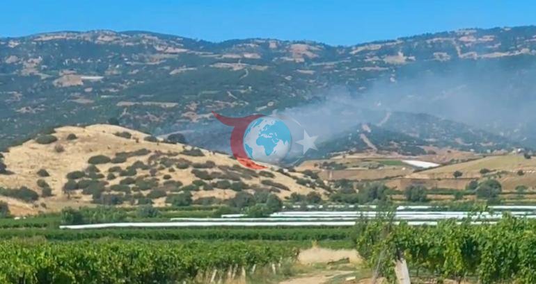 Manisada orman yangını Havadan karadan müdahale başladı