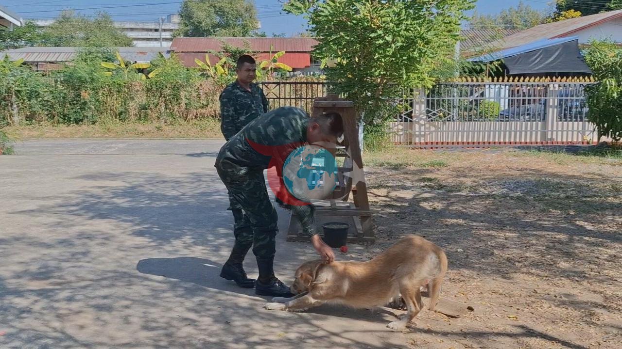 Tayland'da Akılalmaz Olay: Evcil Köpek Sahibi İçin Oyuncak Sandığı Aktif El Bombası Taşıdı