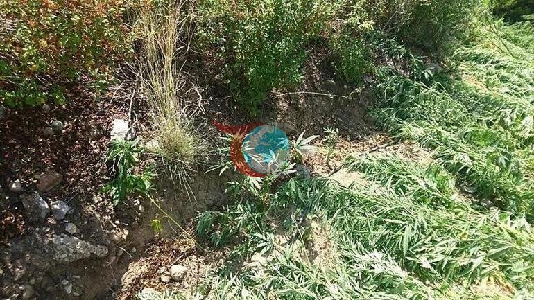 Jandarma açıkladı Fotokapanlarla tespit edilen 1847 şüpheli hakkında işlem başlatıldı
