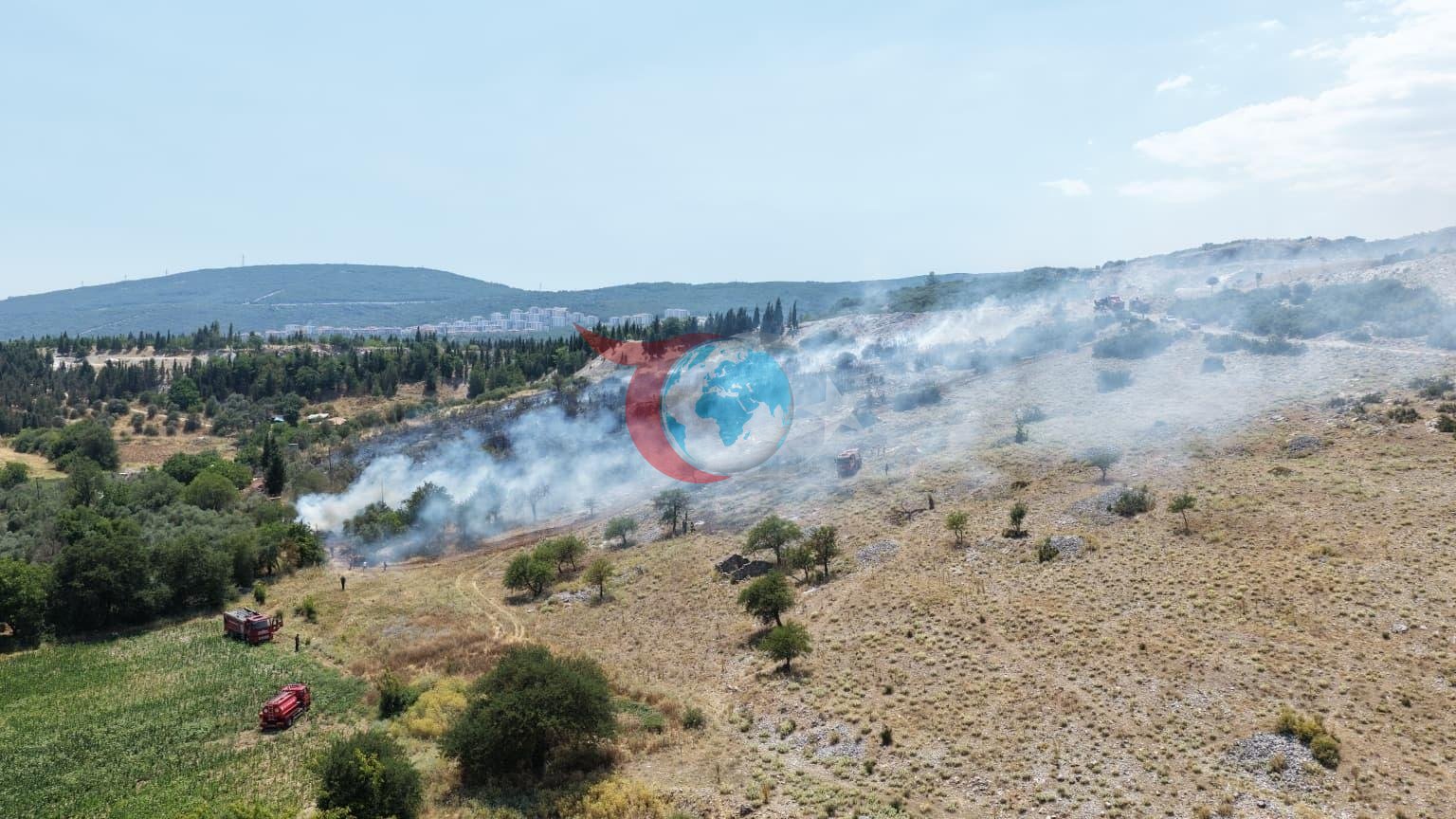 Muğla'da Korkutan Yangın: Hamursuz Tepesi'nde Orman ve Tarım Alanları Alevlere Teslim Oldu