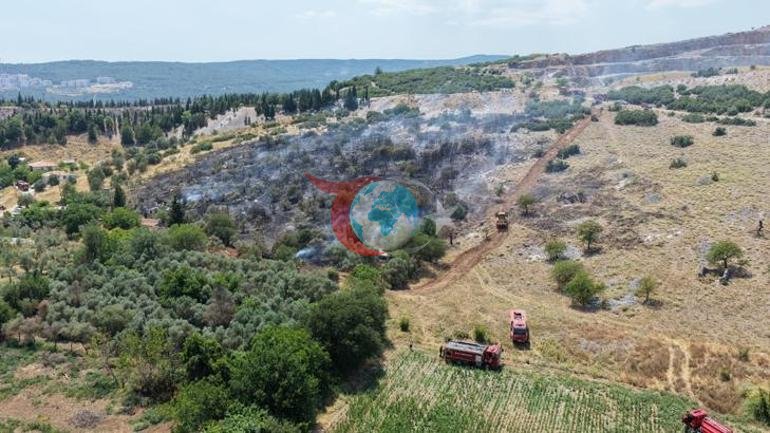 Muğlada orman ve tarım alanında çıkan yangına müdahale ediliyor
