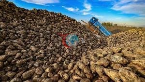 Sözleşmeli pancar üreticilerine 2,8 milyar lira avans ödemesi yapıldı