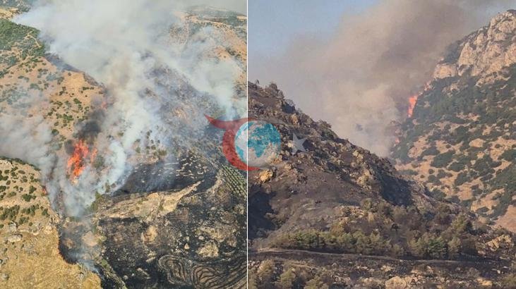 Pamukkale'de Korkutan Orman Yangını: Havadan ve Karadan Yoğun Müdahale Başlatıldı