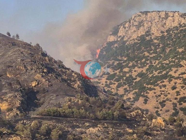 Pamukkalede orman yangını Havadan ve karadan müdahale başladı
