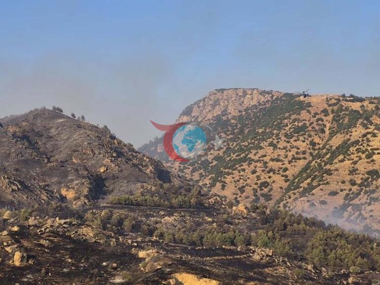 Pamukkalede orman yangını Havadan ve karadan müdahale başladı