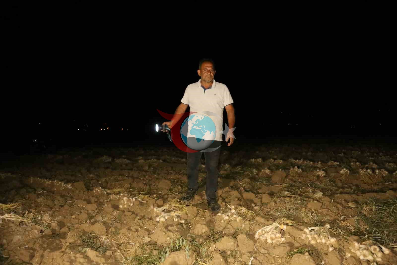 Taşköprü'de 'Beyaz Altın' Nöbeti: Çiftçiler Hırsızlara Karşı Tarlada Sabahlıyor