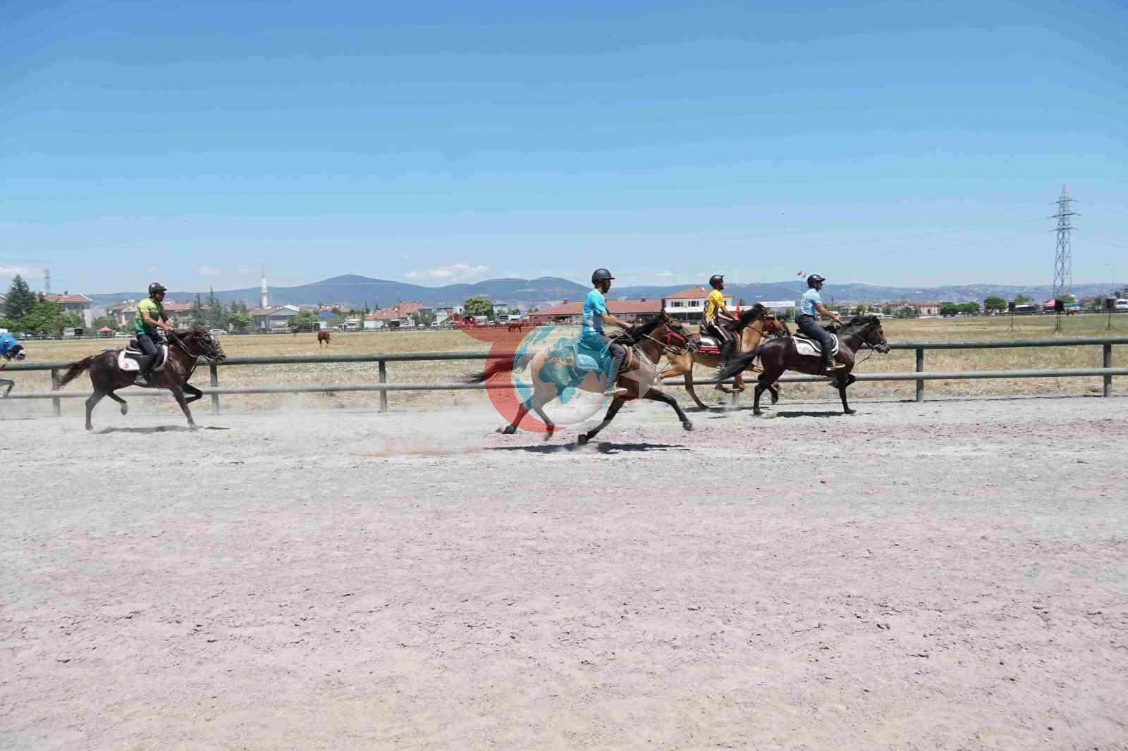 Gölcük'te Geleneksel Rahvan At Yarışları Rüzgarı Esti: 133 At Piste Çıktı