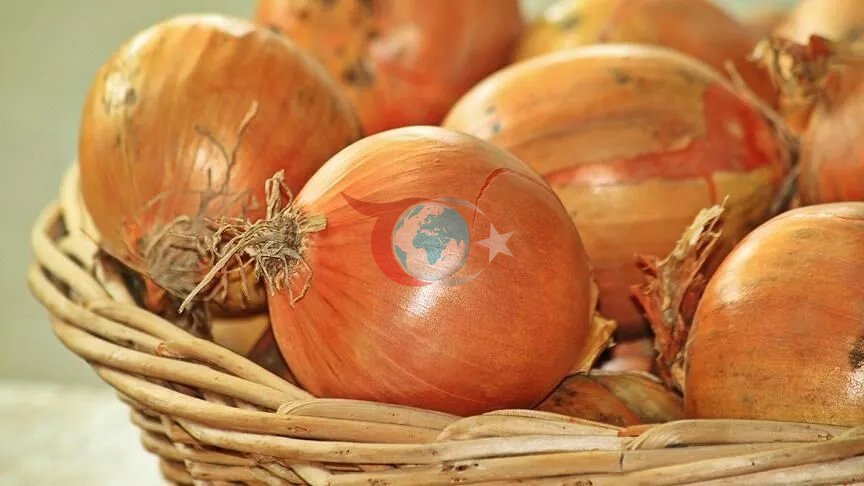 Ticaret Bakanlığı'ndan Kuru Soğan Kararı: İthalatta Gümrük Vergisi %5'e Düşürüldü