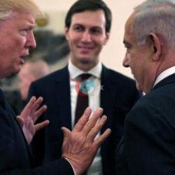 Trump’ın Damadı Kushner’in Rant Ağı