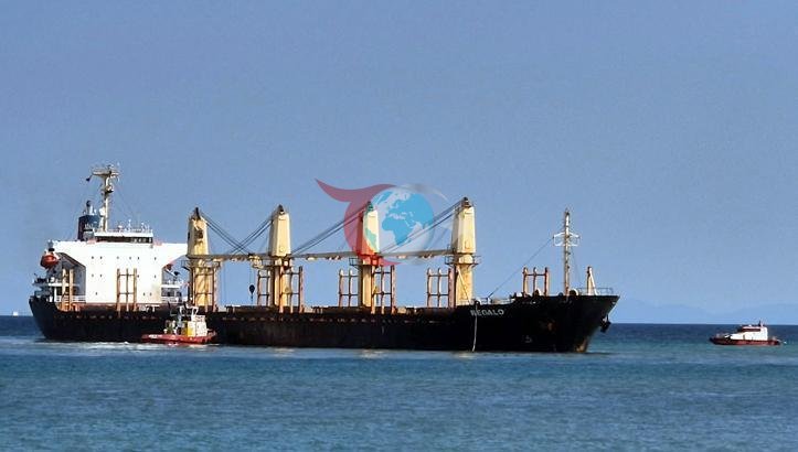 Marmara Denizi'nde Dev Kuru Yük Gemisi Karaya Oturdu: Regalo İçin Kurtarma Çalışması Başlatıldı