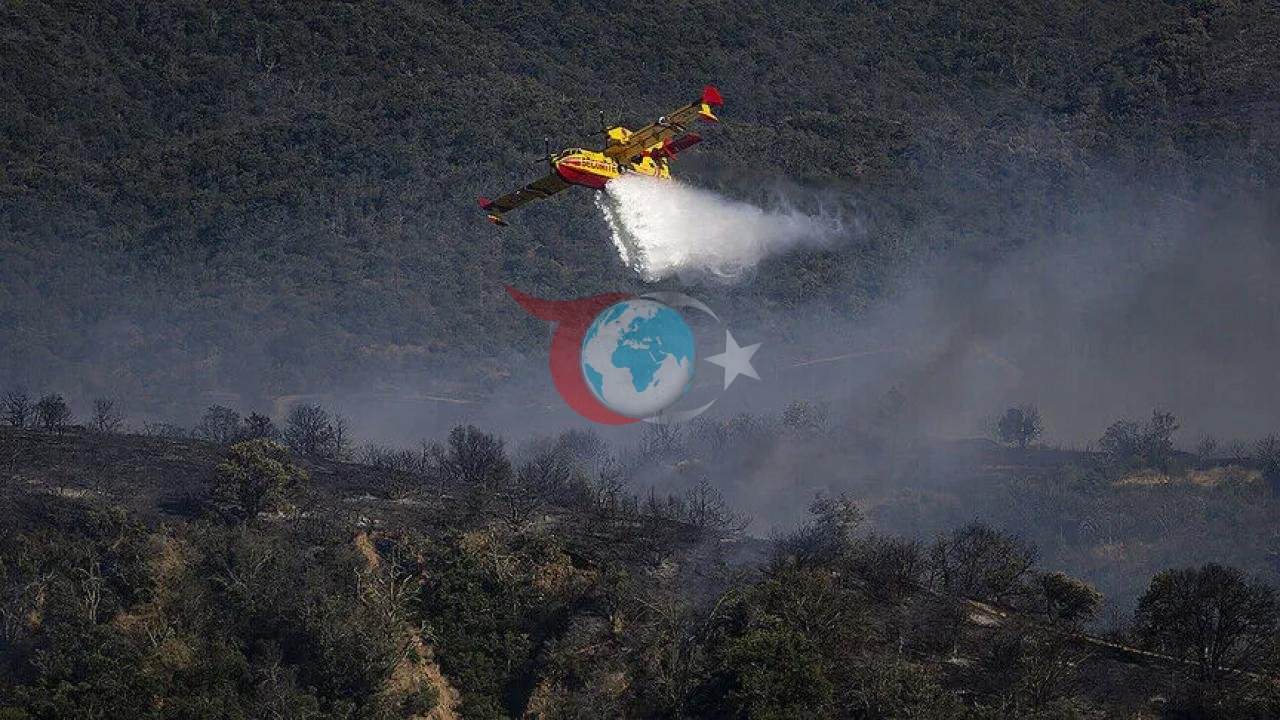 Fransa Alev Alev: Orman Yangınlarına Sebep Olan 59 Kişi Gözaltında