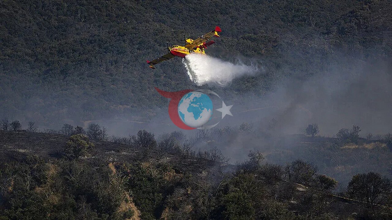 Fransa'da Orman Yangını Soruşturması: 59 Gözaltı ve Tutuklamalar Var