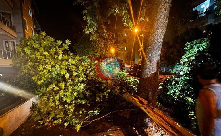 Balıkesirde aniden bastıran fırtına hayatı felç etti Sokakları su bastı, ağaçlar devrildi