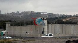 İsrail'den yeni skandal! Filistinlilerin tutulduğu hapishanelere 'timsahlarla dolu hendek'
