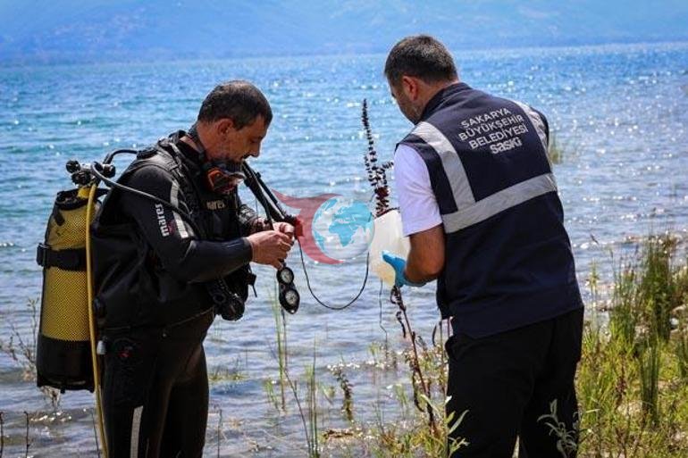 Sapanca gölündə 2 metr dərinlikdə qeyri-adi formalaşma. İzahat verildi