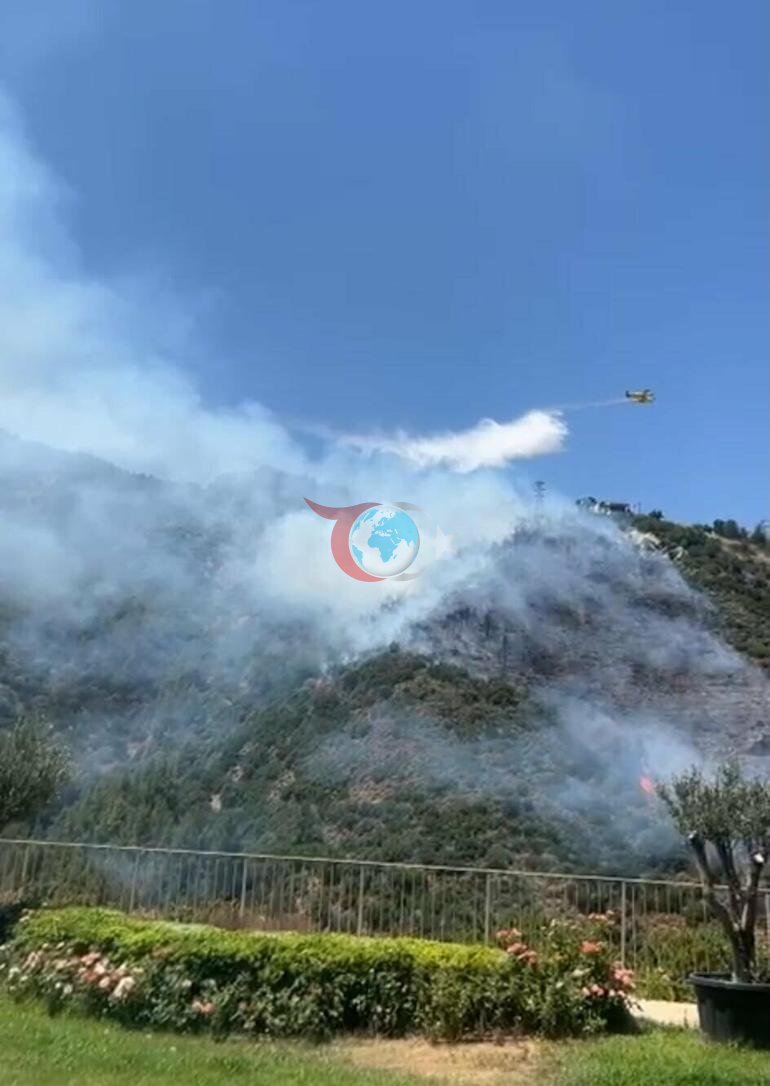 İzmir’de orman yangını Havada karadan müdahale
