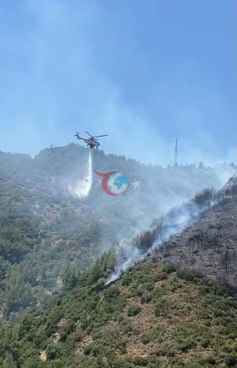İzmir’de orman yangını Havada karadan müdahale