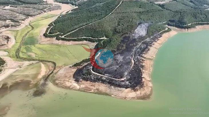 Tekirdağ Malkara'da Korkutan Orman Yangını: 80 Dekar Yeşil Alan Kül Oldu