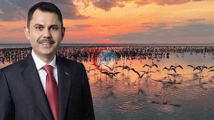 Tuz Gölü'nde Flamingo Rekoru: Son 5 Yılın En Yüksek Yavru Sayısına Ulaşıldı