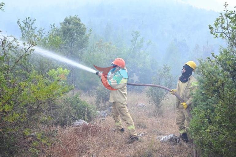 Antalyada orman yangını Alevlere havadan ve karadan müdahale sürüyor